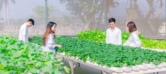 cơ hội nghề nghiệp với văn bằng 2 trung cấp bảo vệ thực vật