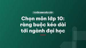 Chọn môn lớp 10: ràng buộc kéo dài tới ngành đại học