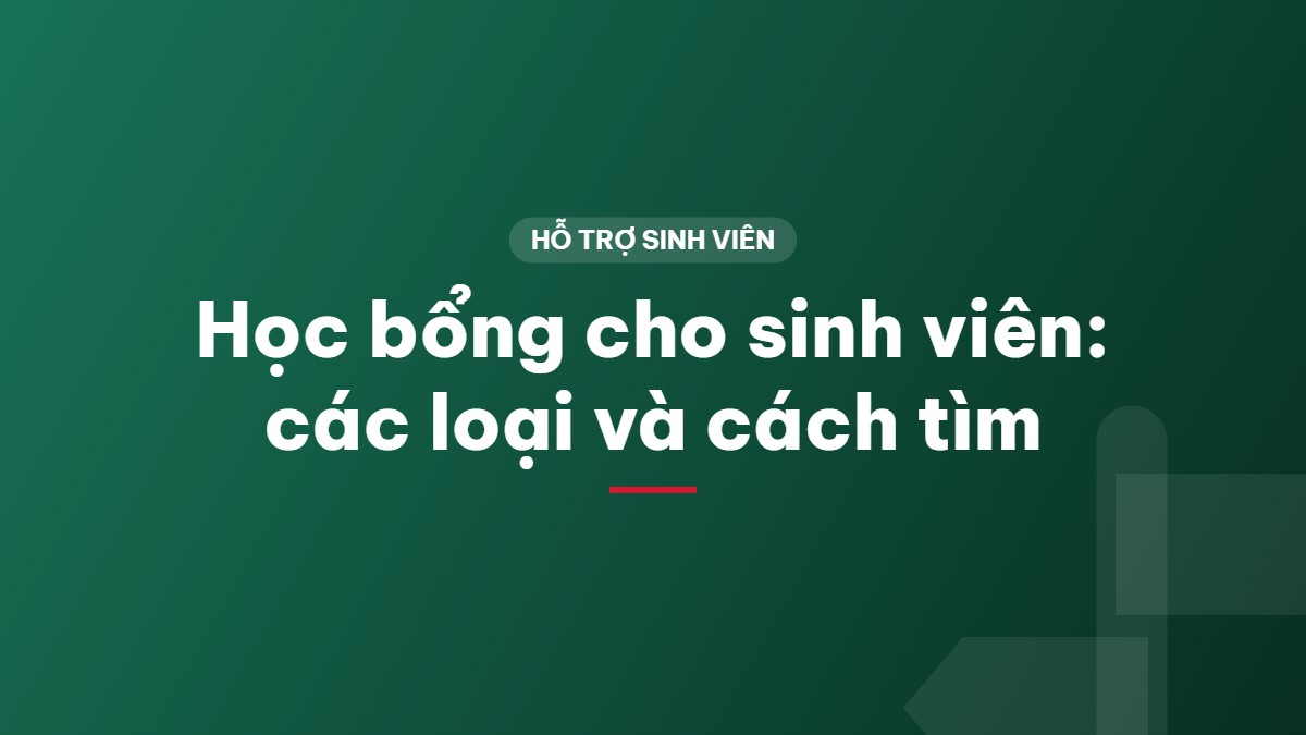 Học bổng cho sinh viên: các loại và cách tìm
