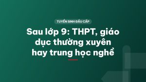 Sau lớp 9: THPT, giáo dục thường xuyên hay trung học nghề