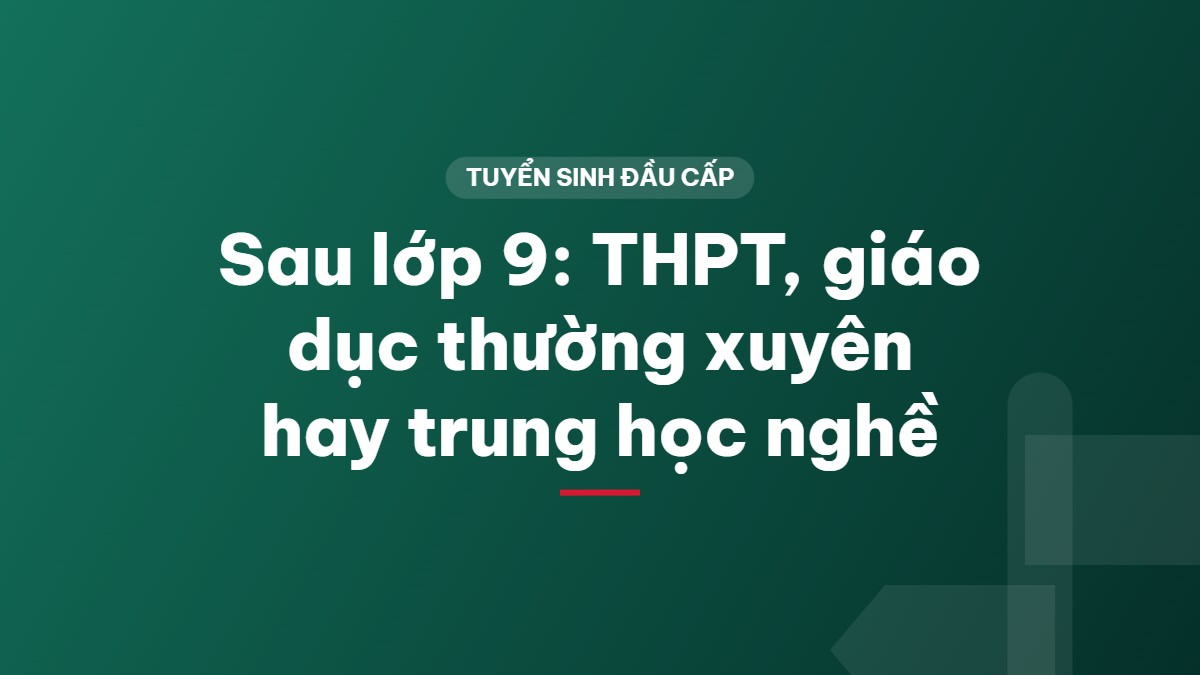 Sau lớp 9: THPT, giáo dục thường xuyên hay trung học nghề