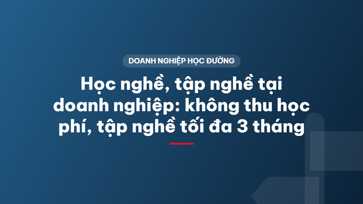 Học nghề, tập nghề tại doanh nghiệp: không thu học phí, tập nghề tối đa 3 tháng