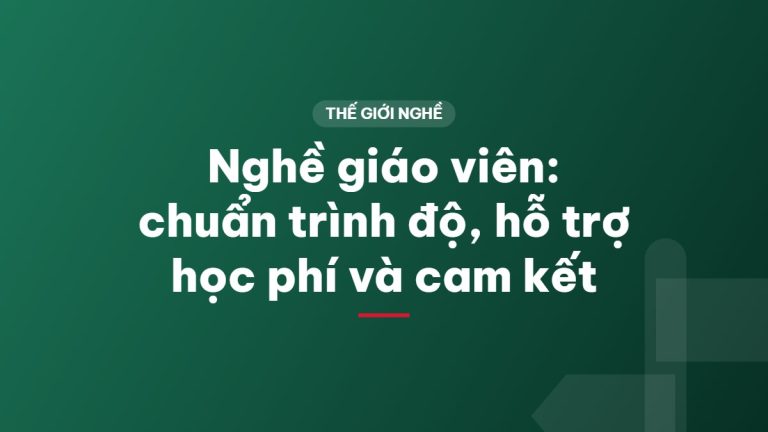 Nghề giáo viên: chuẩn trình độ, hỗ trợ học phí và cam kết