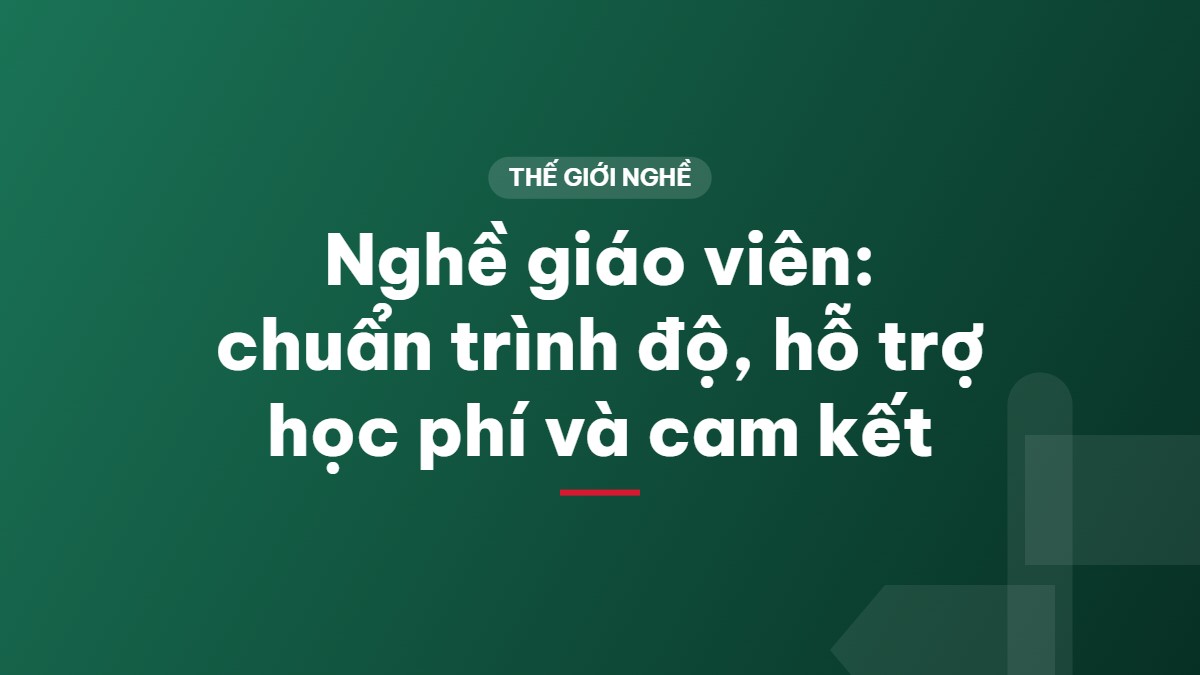 Nghề giáo viên: chuẩn trình độ, hỗ trợ học phí và cam kết