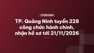 TP. Quảng Ninh tuyển 228 công chức hành chính, nhận hồ sơ tới 21/11/2026