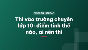 Thi vào trường chuyên lớp 10: điểm tính thế nào, ai nên thi