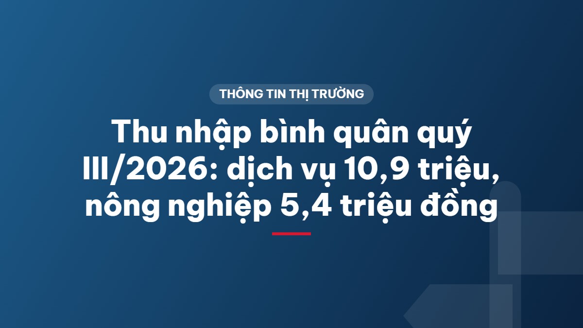 Thu nhập bình quân quý III/2026: dịch vụ 10,9 triệu, nông nghiệp 5,4 triệu đồng