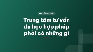 Trung tâm tư vấn du học hợp pháp phải có những gì