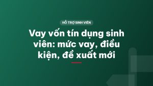 Vay vốn tín dụng sinh viên: mức vay, điều kiện, đề xuất mới