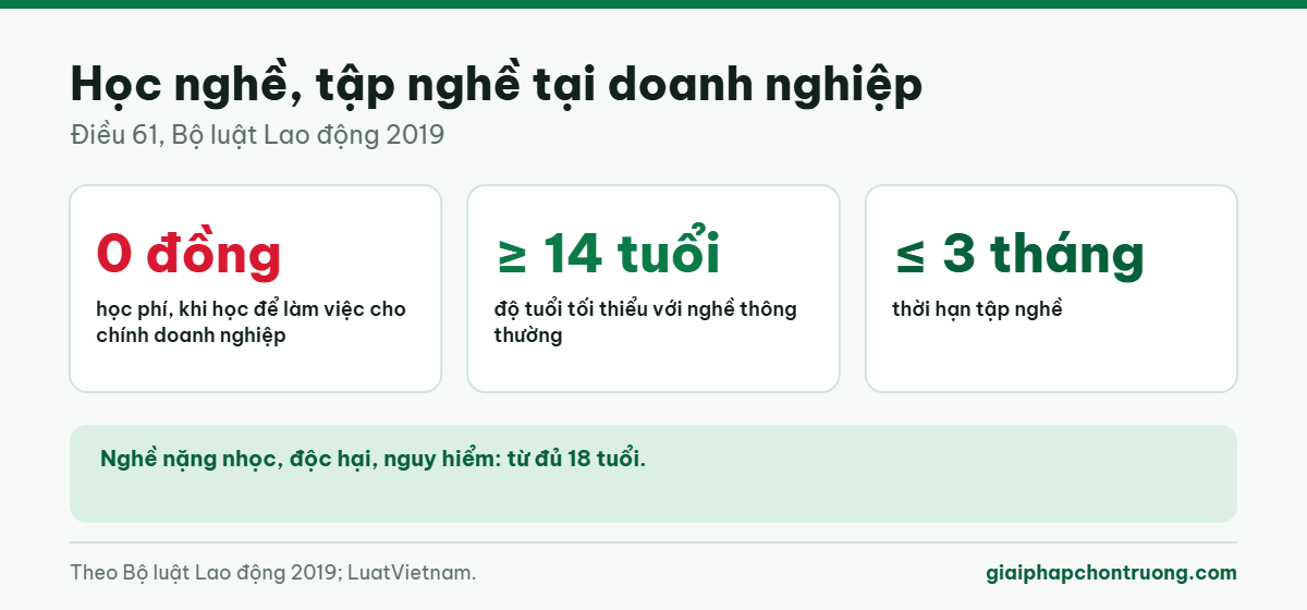 Học nghề, tập nghề tại doanh nghiệp