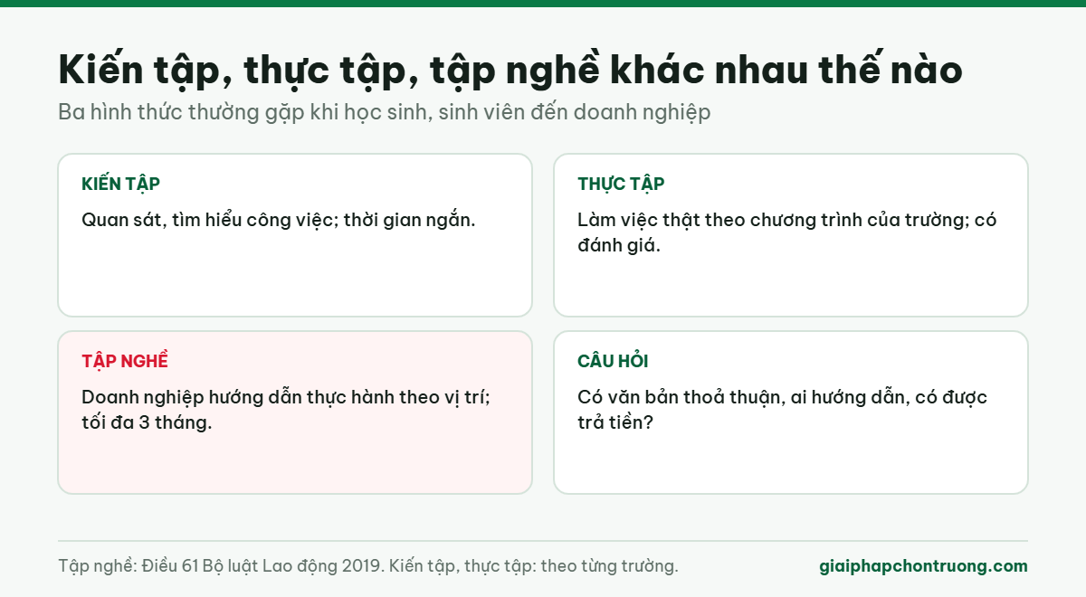 Kiến tập, thực tập, tập nghề khác nhau thế nào