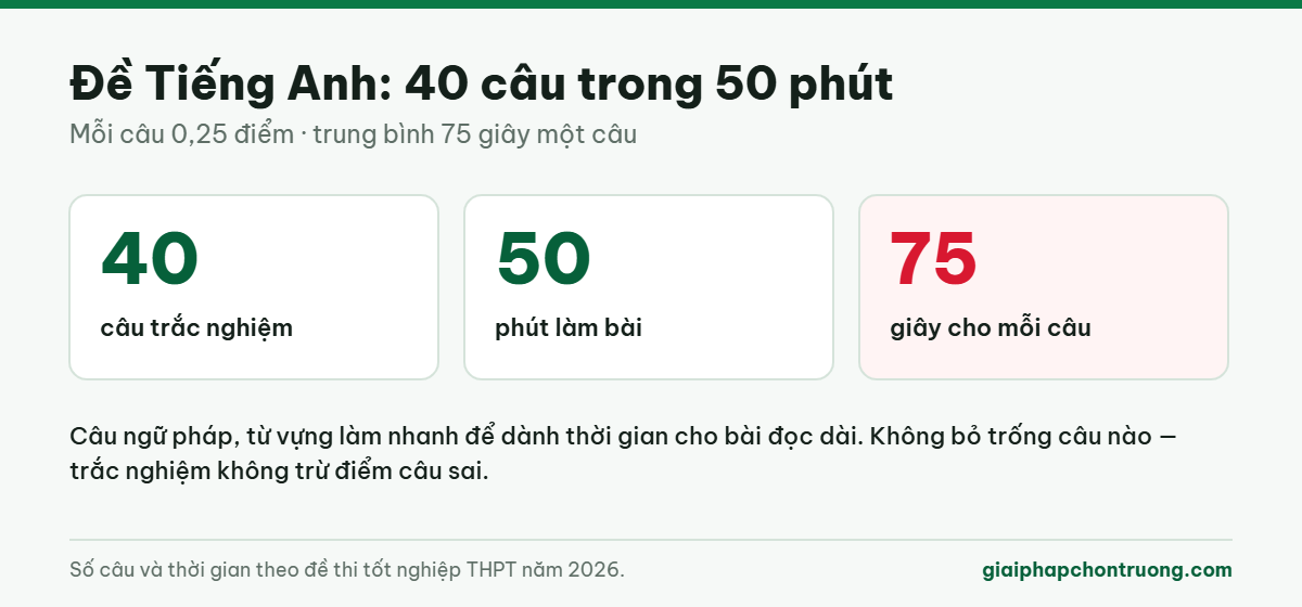 Đề Tiếng Anh tốt nghiệp: 40 câu trong 50 phút