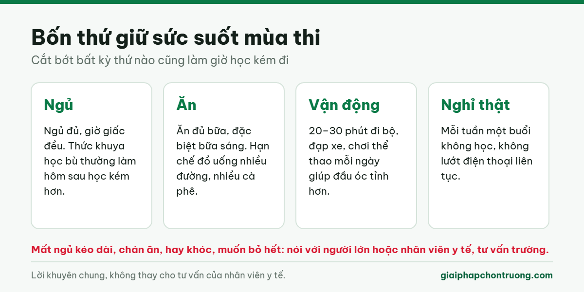 Bốn thứ giữ sức khoẻ suốt mùa thi