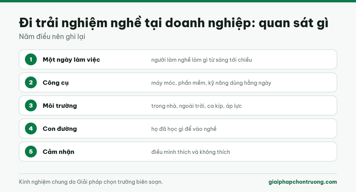 Đi trải nghiệm nghề tại doanh nghiệp: quan sát gì