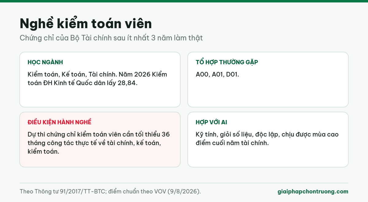 Nghề kiểm toán viên